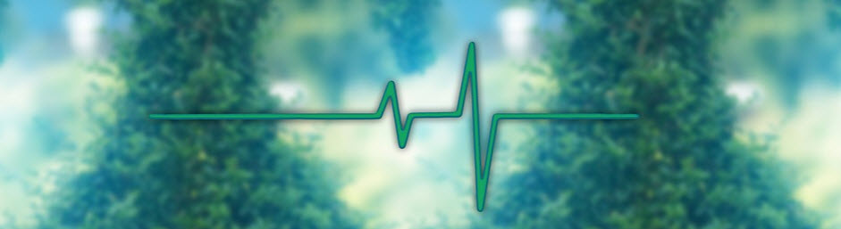 badanie bezdechu szczecin